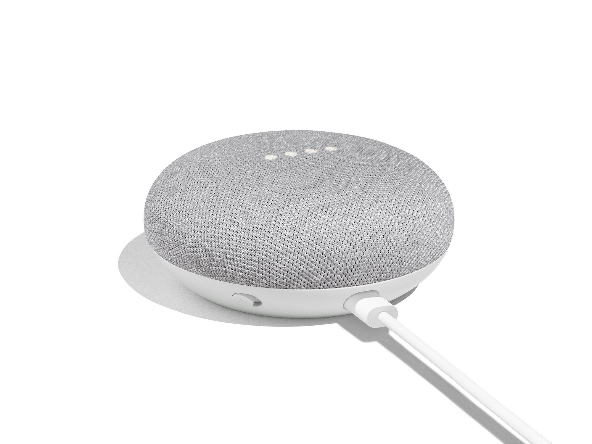 google mini twin pack